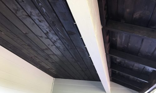 Wood Ceiling Painting