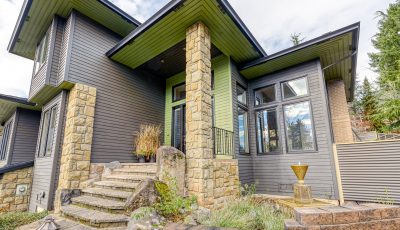 Color Preparation and Paint