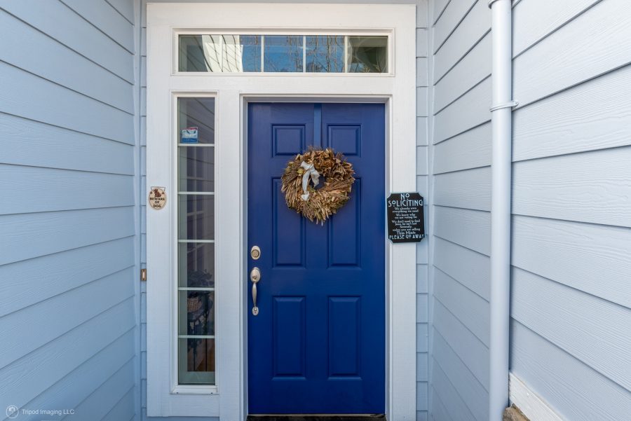 front door painting Preview Image 2