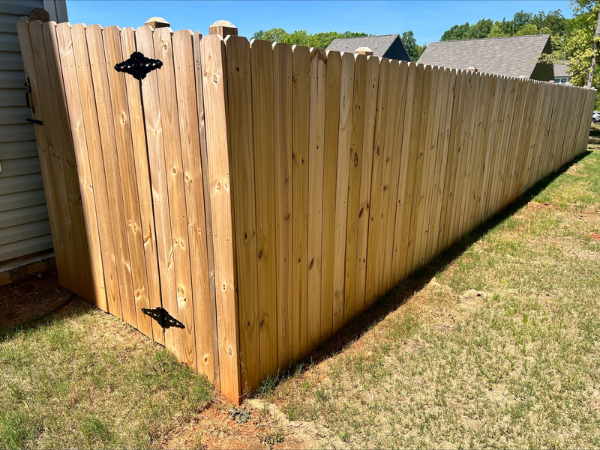 Fence Staining Before