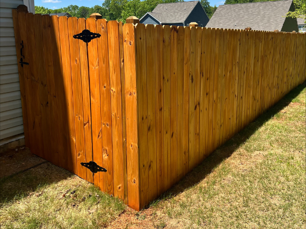 Fence Staining After