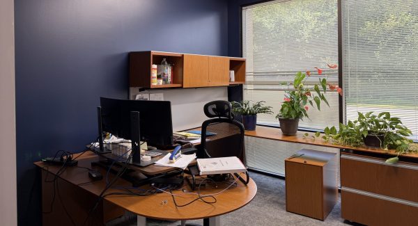 National Truck Protection Administration Offices in color consultation and office painting.