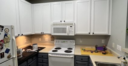Kitchen Cabinet Painting