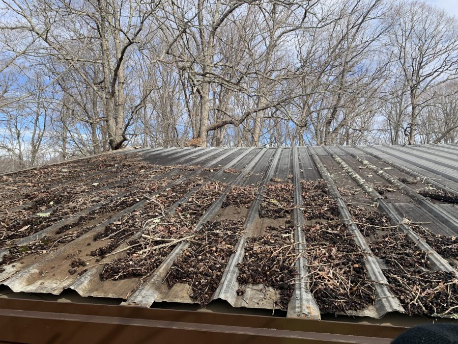 City of Winston Salem Piney Grove Park Shelter Before Power Wash Preview Image 6