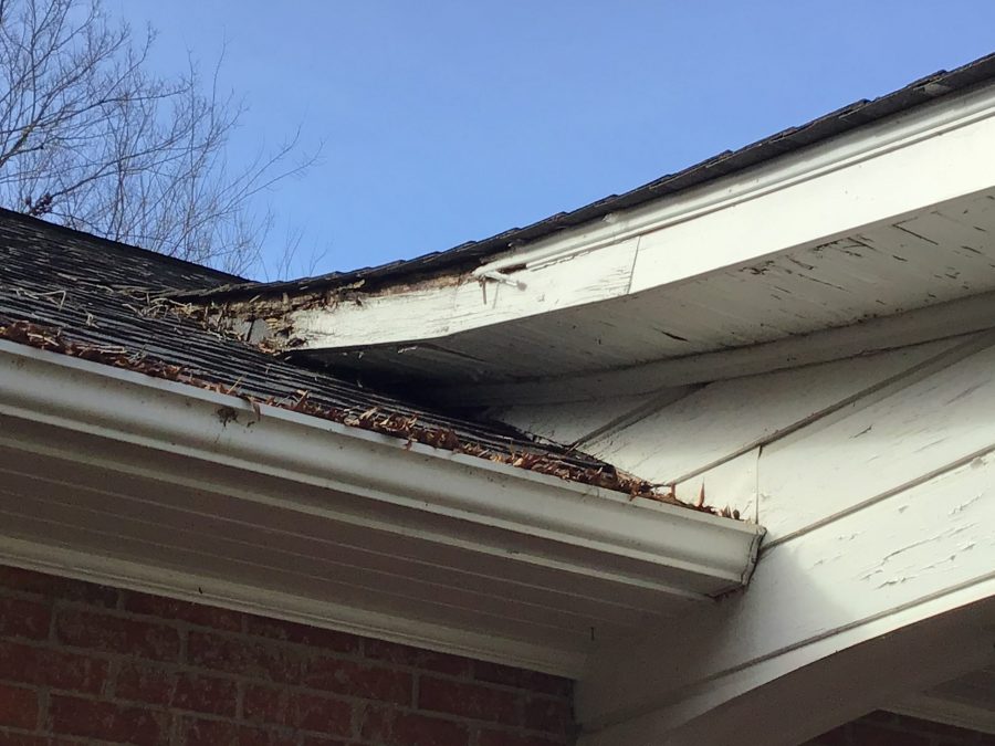 before wood rot repairs in winston-salem Preview Image 10