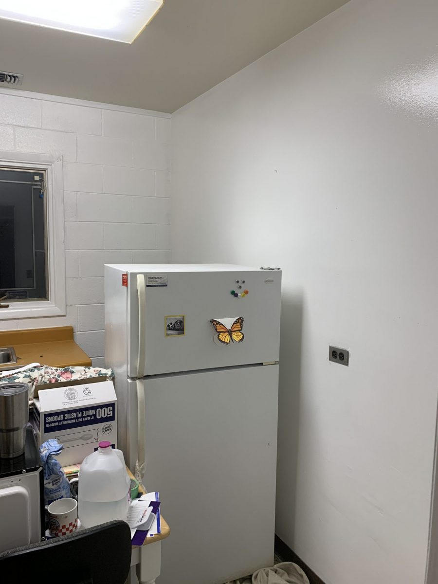 Medical Office Painting Services Winston-Salem, NC Preview Image 2