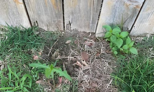 Massive Color Fading