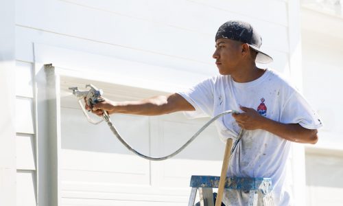 Vinyl Siding Painting