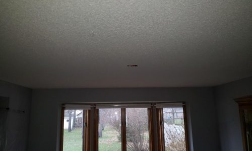 Dining Room - Before Popcorn Ceiling Removal