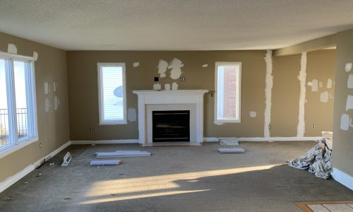 Interior Walls & Fireplace Area Before