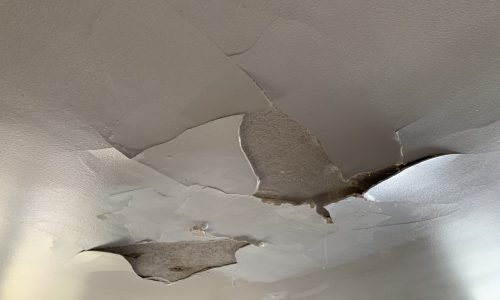 Failing Ceiling Section