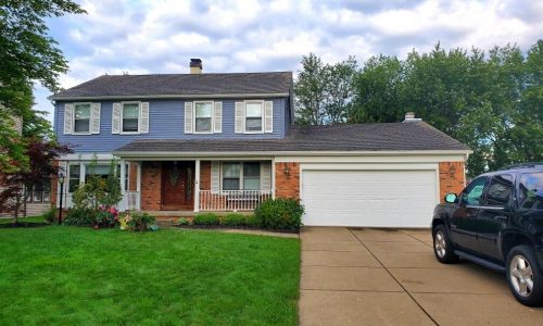 Siding Painting Project