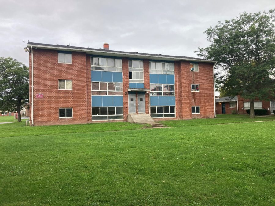 Backyard View Preview Image 1