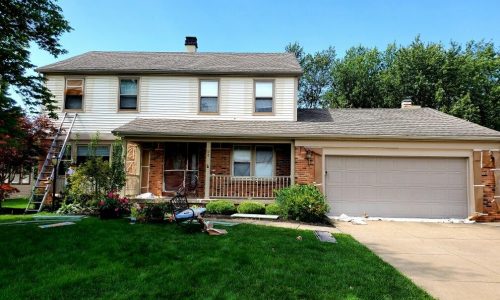 Before Vinyl Siding Painting