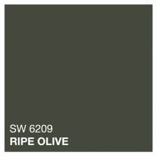ripe olive color sample