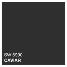 Caviar pantone SW 6990