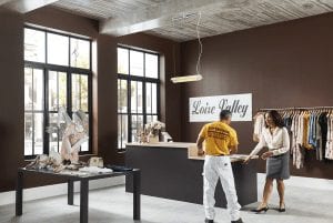 professional painter consulting retail store client