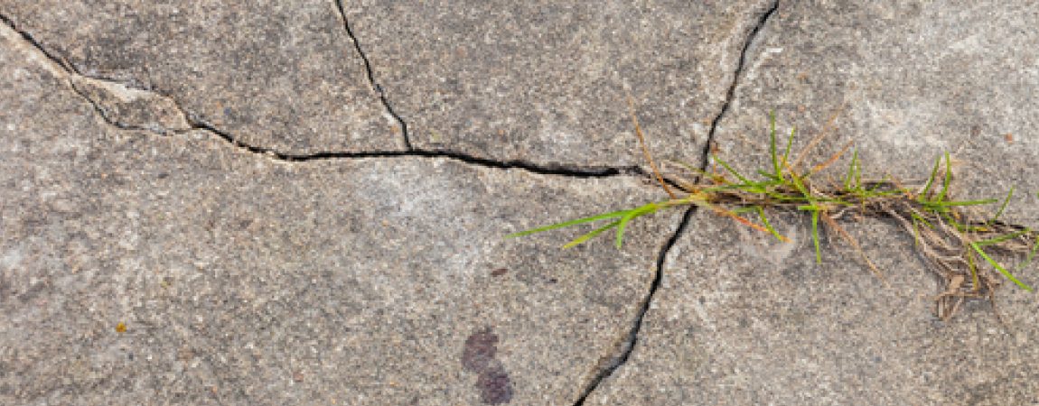 Business Owners: Cracked Concrete is Not a Good Look