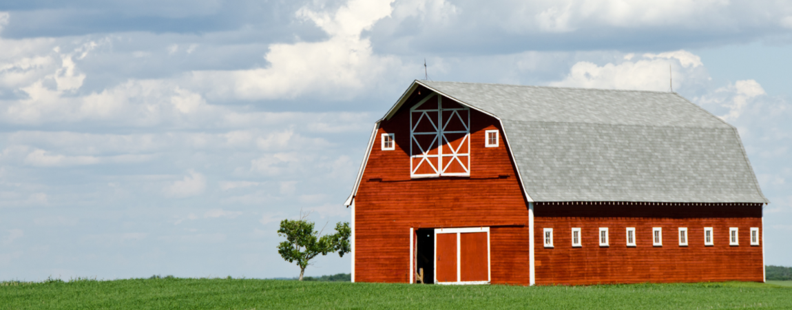 From Rustic to Remarkable: All You Need to Know About Barn Painting