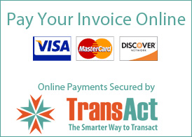 transact pay by credit card online