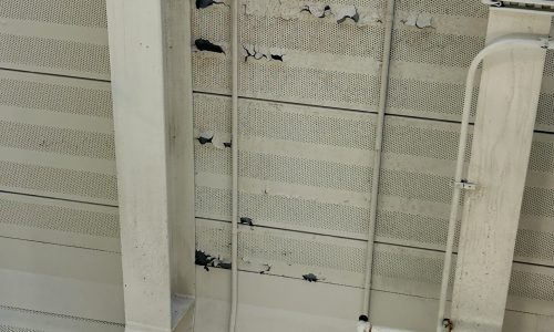 Damaged & Peeling Paint