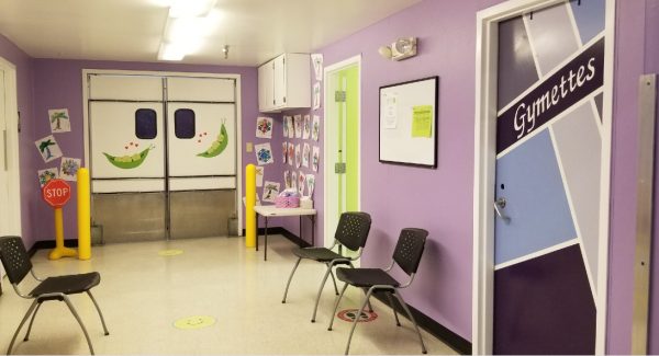 Central Pennsylvania Academy of Gymnastics